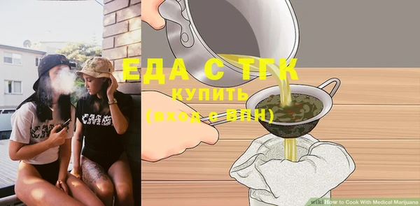 мдпв Гусев
