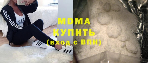 мдпв Гусев
