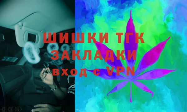 мдпв Гусев