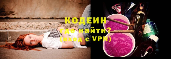 мдпв Гусев