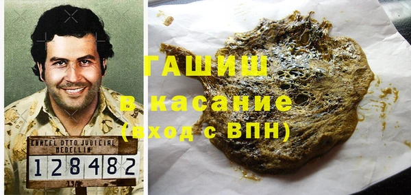 мдпв Гусев