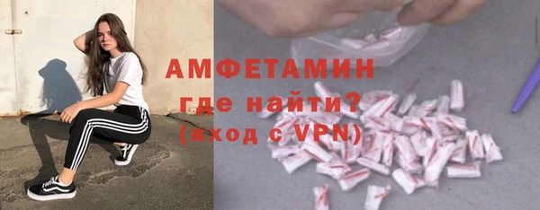 мдпв Гусев