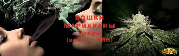 мдпв Гусев