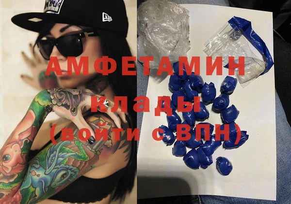 мдпв Гусев