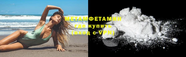 мдпв Гусев