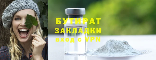 мдпв Гусев