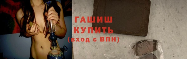 мдпв Гусев