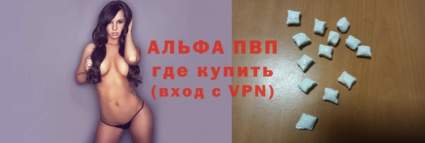мдпв Гусев