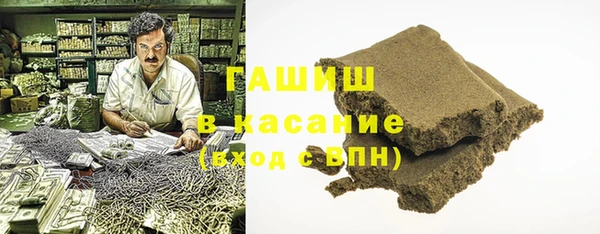 мдпв Гусев