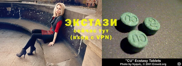 мдпв Гусев