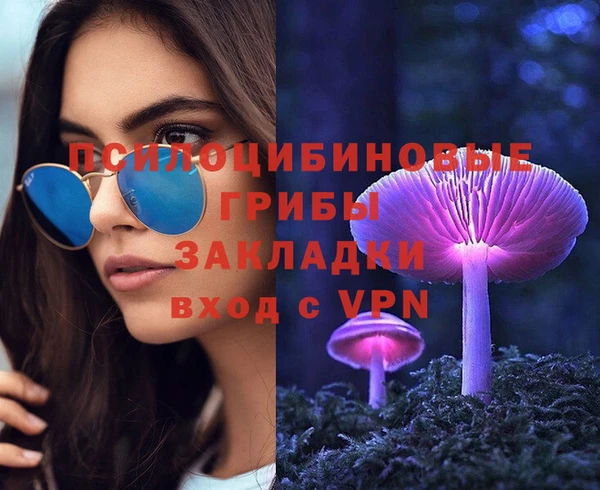 альфа пвп Гусь-Хрустальный