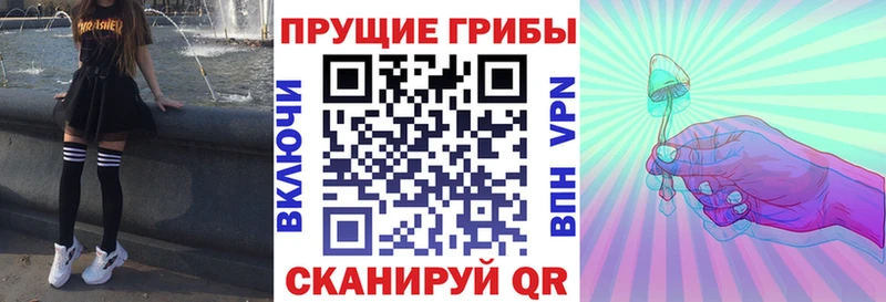 Галлюциногенные грибы MAGIC MUSHROOMS Нижний Новгород