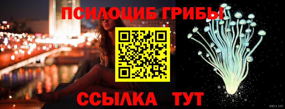Галлюциногенные грибы Cubensis Нижний Новгород